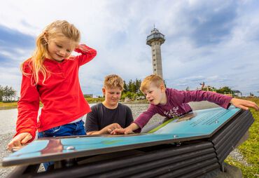 Bild zur News: Neue Erlebniswege auf dem Ettelsberg – Natur und Abenteuer für Familien und Urlaubsgäste