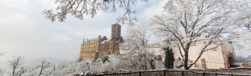 Natur pur - den Winter genießen