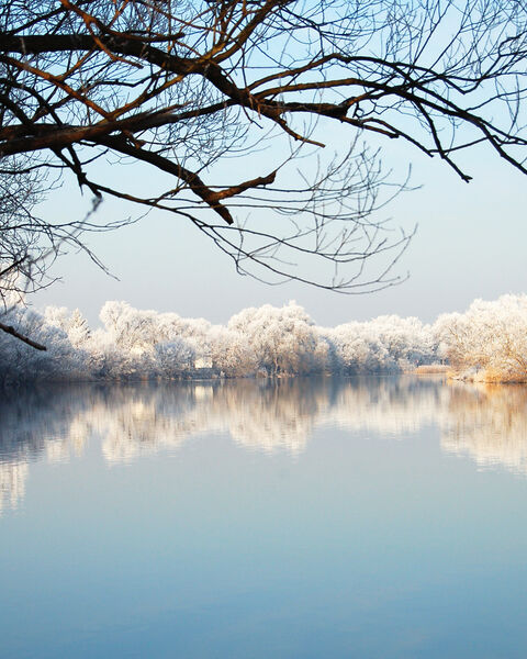 Diemelsee im Winter 